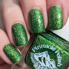 Load image into Gallery viewer, Everglades