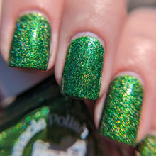 Load image into Gallery viewer, Everglades