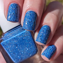 Load image into Gallery viewer, Corvid Collection - April Fool's Day 2024 - RETIRING