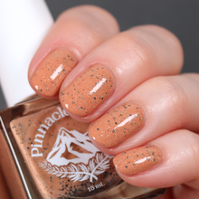 Load image into Gallery viewer, Playing Chicken