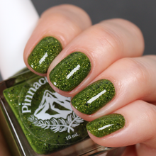 Load image into Gallery viewer, Shell Out