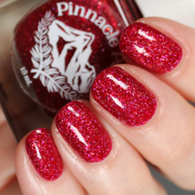 Load image into Gallery viewer, Borscht