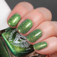 Load image into Gallery viewer, There and Back Again