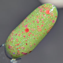 Load image into Gallery viewer, Sundew