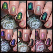 Load image into Gallery viewer, Spicy Water Full Collection