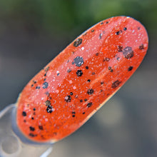 Load image into Gallery viewer, Brook Trout - RETIRING