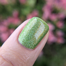 Load image into Gallery viewer, Invested - RETIRING