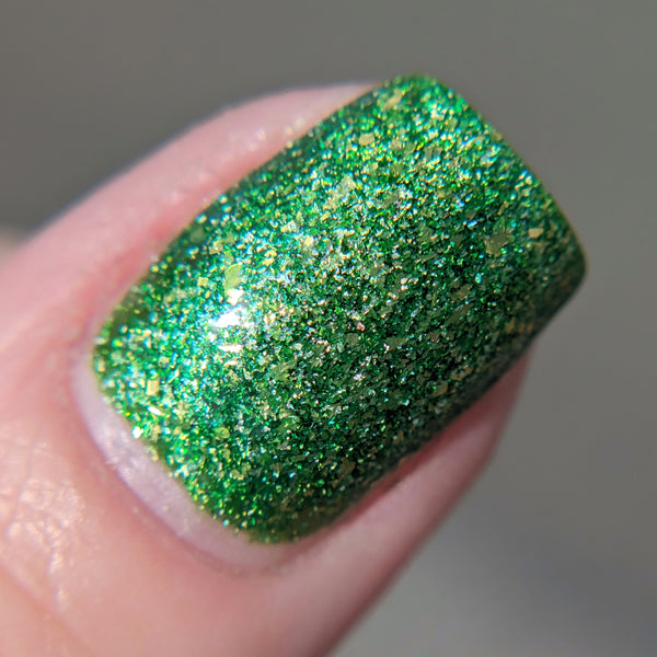 Everglades - MINI