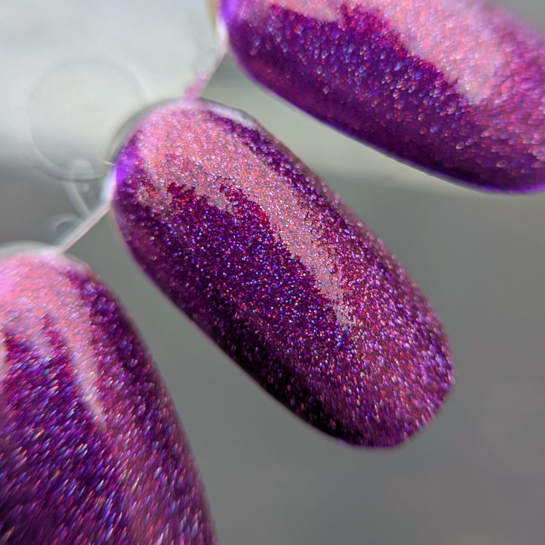 Spring 2025 Prototypes